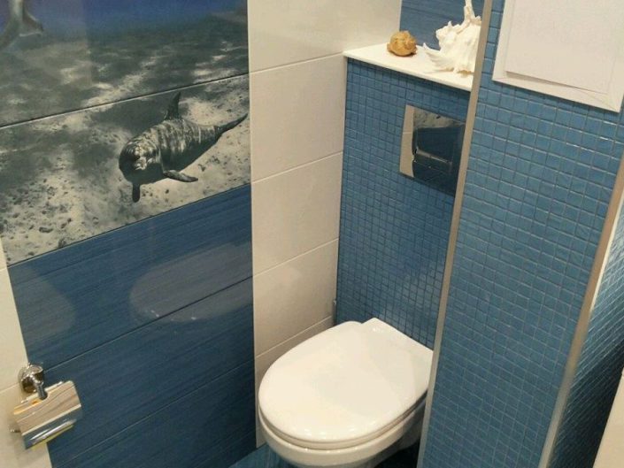 Ремонт туалета под ключ в Балаково - dana-stroy