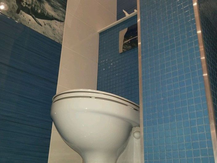 Ремонт туалета под ключ в Балаково - dana-stroy